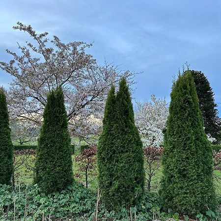 因弗卡吉尔Whiteacres住宿加早餐旅馆 外观 照片